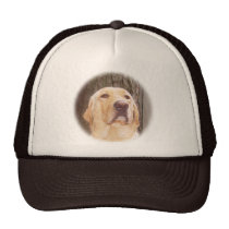 Laboratoire jaune chapeaux