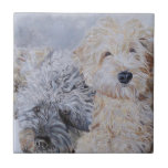 Labradoodle and Goldendoodle Tiles
