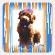 Labradoodle Autocollants