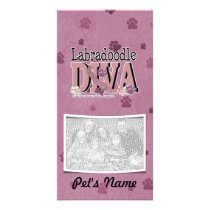 LabraDoodle DIVA Photo Card