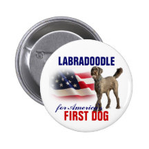 Labradoodle for First Dog Pinback Button