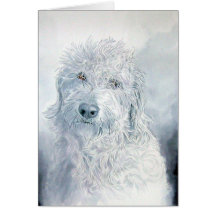 Labradoodle Ginger Greeting Card