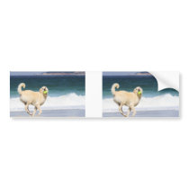 Labradoodle - Marilyn Monroe of the Beach