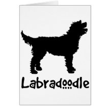 Labradoodle w/ Cool Text (in black) Card