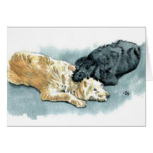 Labradoodles in Love Greeting Card