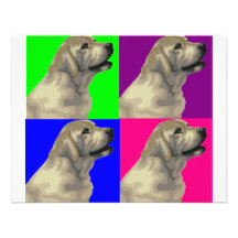 Labrador Bright Colour Collage Announcements