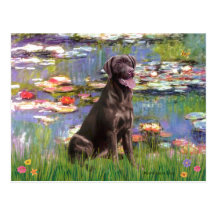 Labrador (Chcolate) - Lilies 2 Postcard