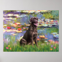 Labrador (Chcolate) - Lilies 2 Poster