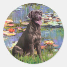 Labrador (Chcolate) - Lilies 2 Round Stickers