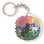 Labrador (Chocolate)