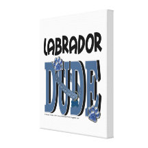 Labrador DUDE Stretched Canvas Prints