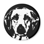 Labrador Gifts - Magnet
