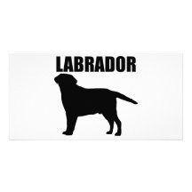 Labrador Gifts! Photo Greeting Card