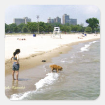 Labrador Playing in the Water Square Sticker
