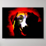 Labrador Posters
