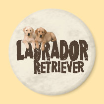 Labrador Puppies magnets