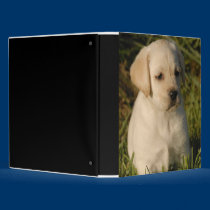 Labrador Puppy Binder binders