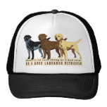 Labrador Retriever 3 colours Hat