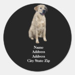 Labrador Retriever Address Label Round Sticker