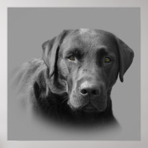 Labrador Retriever Awesome Print