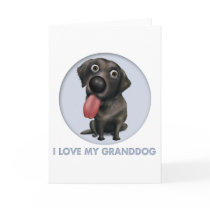 Labrador Retriever (Black) Granddog