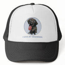 Labrador Retriever (Black) Granddog