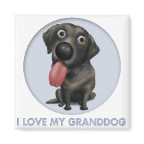 Labrador Retriever (Black) Granddog