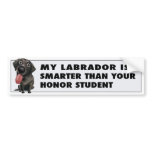 Labrador Retriever (Black) Honour
