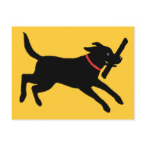 Labrador Retriever (Black) Postcards