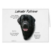 Labrador Retriever (blk) History Design Greeting Cards