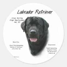 Labrador Retriever (blk) History Design Round Stickers