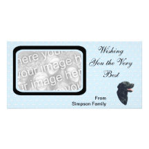 Labrador Retriever ~ Blue w/ White Diamonds Photo Card
