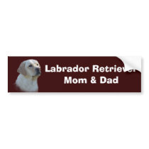 Labrador Retriever Bumper Sticker
