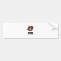 Labrador Retriever Bumper Sticker
