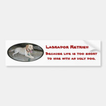 Labrador Retriever Bumper Sticker