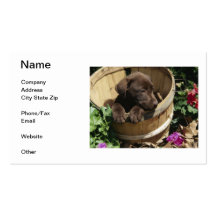 Labrador Retriever Business Card