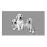 Labrador Retriever  Business Card