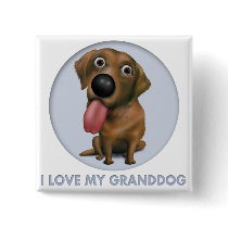 Labrador Retriever (Chocolate) Granddog