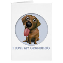 Labrador Retriever (Chocolate) Granddog