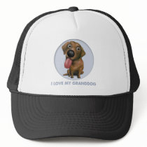 Labrador Retriever (Chocolate) Granddog