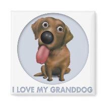 Labrador Retriever (Chocolate) Granddog