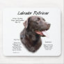 Labrador Retriever (chocolate) History Design
