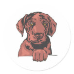 Labrador Retriever, Chocolate stickers