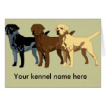 Labrador Retriever colors Greeting Cards