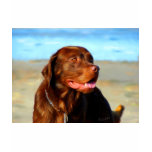 Labrador Retriever Dog Art - Bosco t-shirts