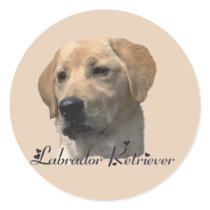 Labrador Retriever Gifts Round Stickers