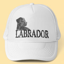 Labrador Retriever hats