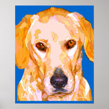 Labrador Retriever in Bight Colours Poster