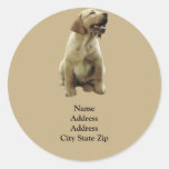 Labrador Retriever Irresistible Address Label Stickers