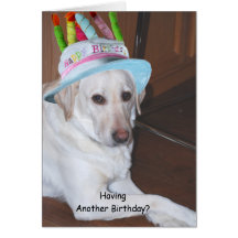 Labrador retriever jaune dans le chapeau d'anniver cartes de vœux